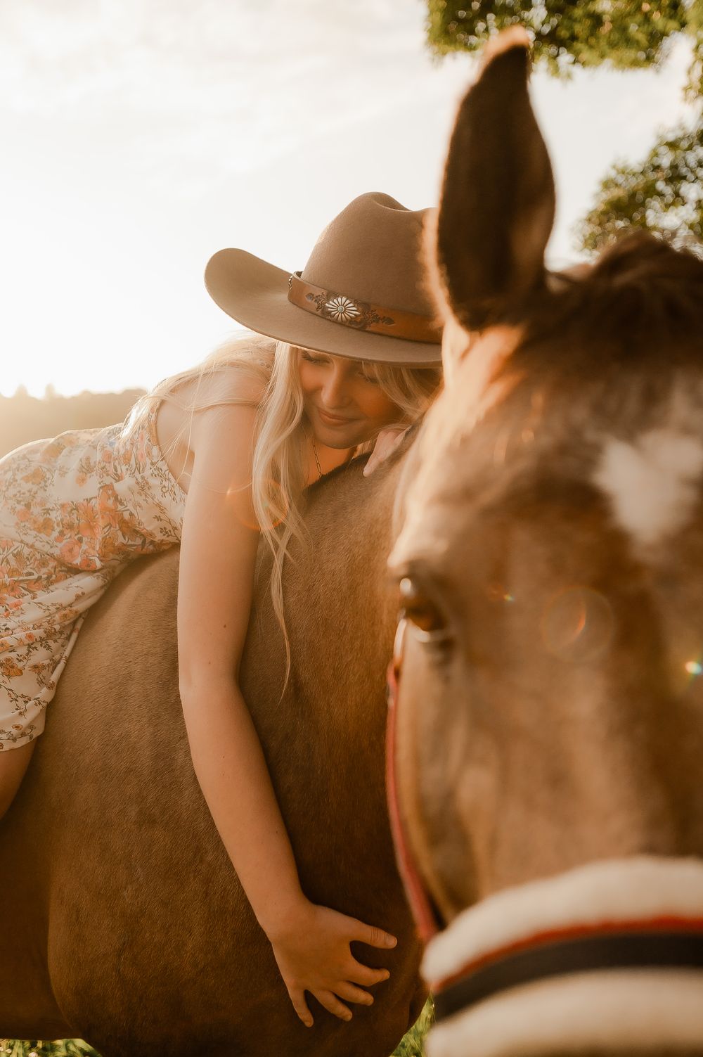 Rider lying along her horse’s back at sunset